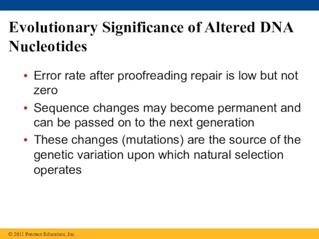 Evolutionary Significance of Altered DNA Nucleotides Error rate after proofreading repair
