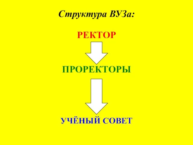 Структура ВУЗа: РЕКТОР ПРОРЕКТОРЫ УЧЁНЫЙ СОВЕТ