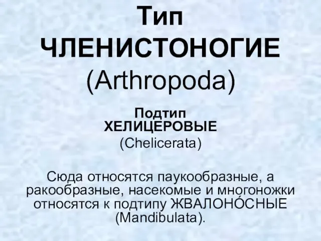 Тип ЧЛЕНИСТОНОГИЕ (Arthropoda) Подтип ХЕЛИЦЕРОВЫЕ (Chelicerata) Сюда относятся паукообразные, а ракообразные,