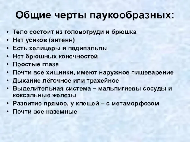 Общие черты паукообразных: Тело состоит из головогруди и брюшка Нет усиков