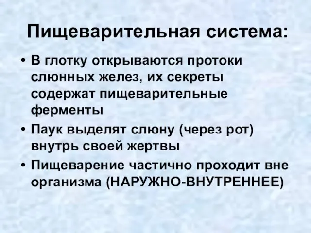 Пищеварительная система: В глотку открываются протоки слюнных желез, их секреты содержат