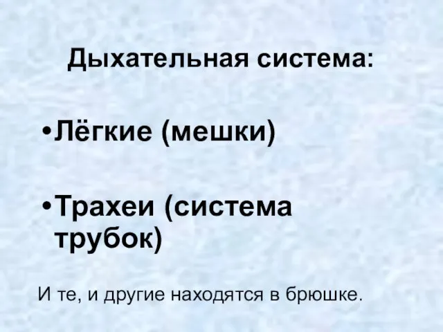 Дыхательная система: Лёгкие (мешки) Трахеи (система трубок) И те, и другие находятся в брюшке.