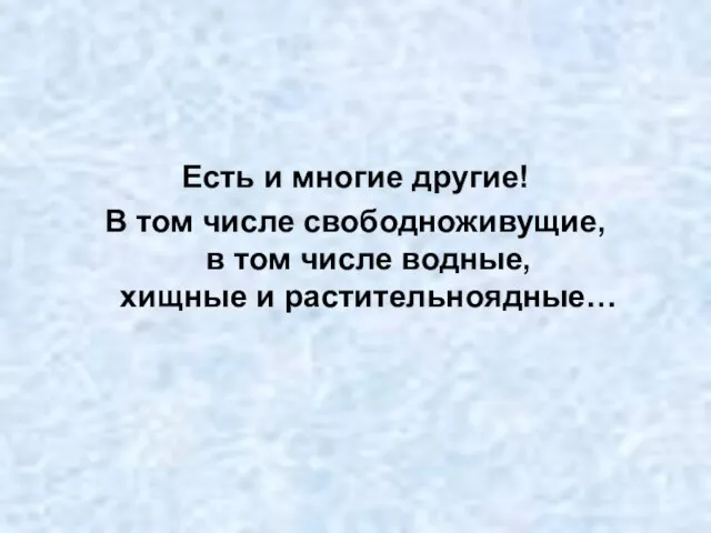 Есть и многие другие! В том числе свободноживущие, в том числе водные, хищные и растительноядные…