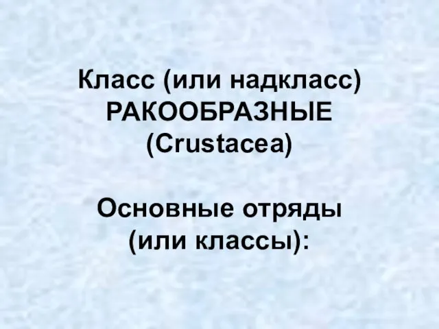 Класс (или надкласс) РАКООБРАЗНЫЕ (Crustacea) Основные отряды (или классы):