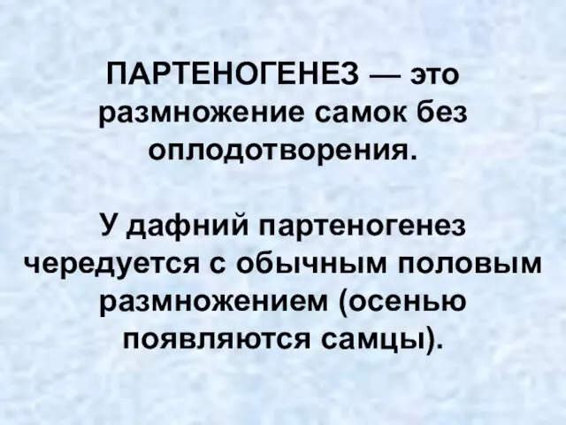 ПАРТЕНОГЕНЕЗ — это размножение самок без оплодотворения. У дафний партеногенез чередуется