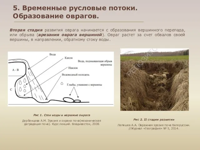 Вторая стадия развития оврага начинается с образования вершинного перепада, или обрыва