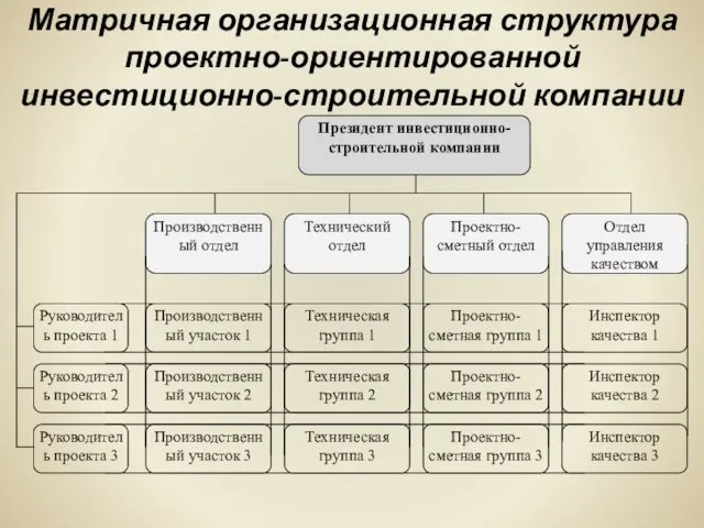 Матричная организационная структура проектно-ориентированной инвестиционно-строительной компании