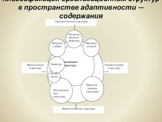 Классификация организационных структур в пространстве адаптивности — содержания