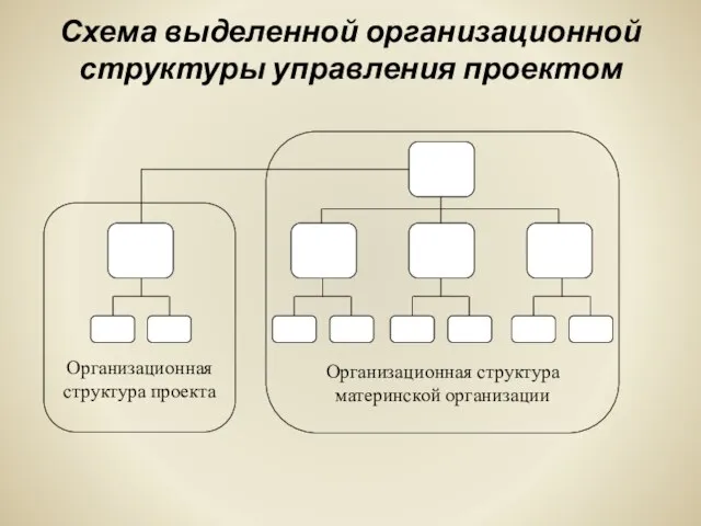 Схема выделенной организационной структуры управления проектом