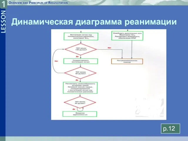 Динамическая диаграмма реанимации p.12