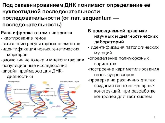 Под секвенированием ДНК понимают определение её нуклеотидной последовательности последовательности (от лат.