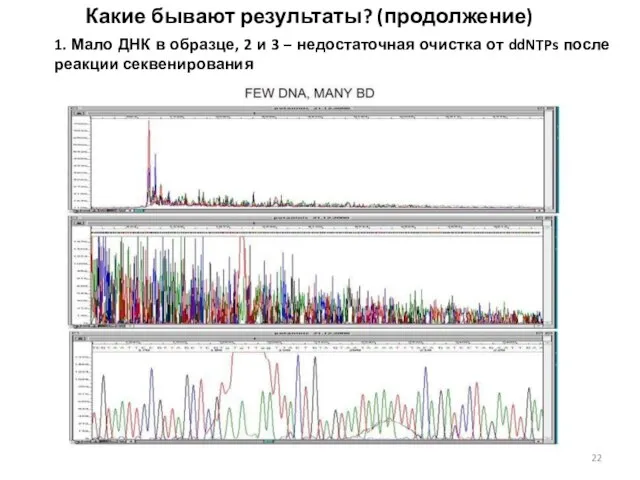 Какие бывают результаты? (продолжение) 1. Мало ДНК в образце, 2 и