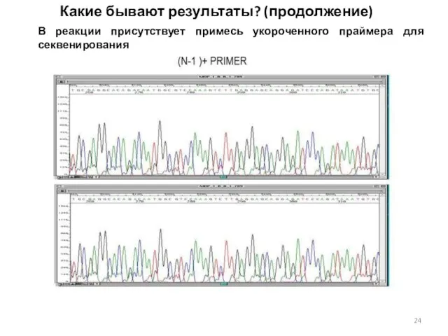 Какие бывают результаты? (продолжение) В реакции присутствует примесь укороченного праймера для секвенирования