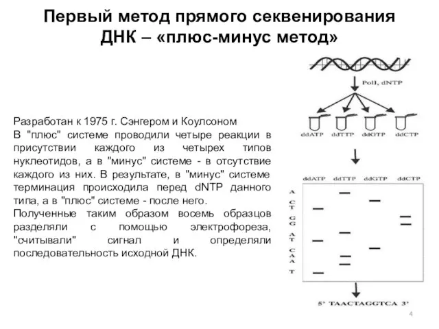 Первый метод прямого секвенирования ДНК – «плюс-минус метод» Разработан к 1975