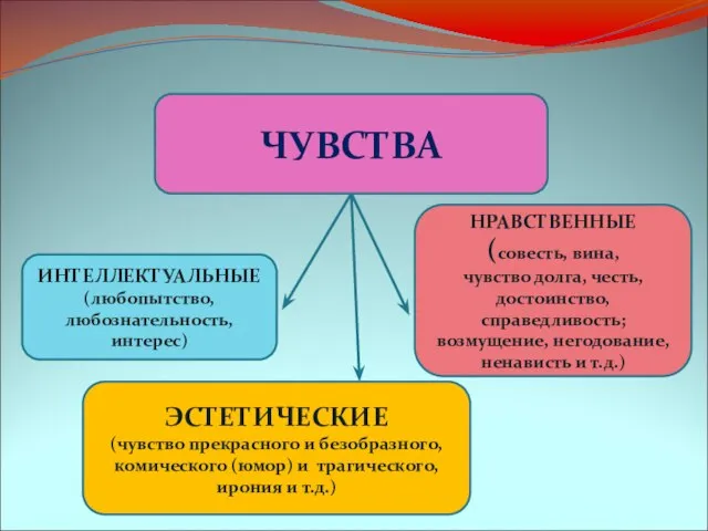 ИНТЕЛЛЕКТУАЛЬНЫЕ(любопытство, любознательность, интерес) ЭСТЕТИЧЕСКИЕ (чувство прекрасного и безобразного, комического (юмор) и