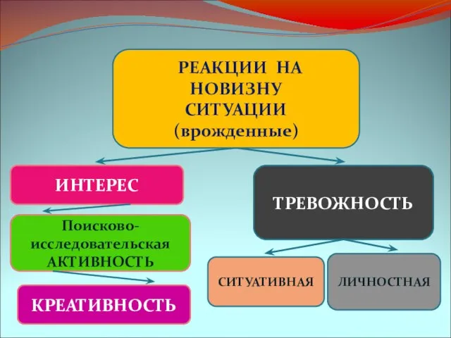 ИНТЕРЕС ТРЕВОЖНОСТЬ РЕАКЦИИ НА НОВИЗНУ СИТУАЦИИ (врожденные) ЛИЧНОСТНАЯ СИТУАТИВНАЯ Поисково- исследовательская АКТИВНОСТЬ КРЕАТИВНОСТЬ