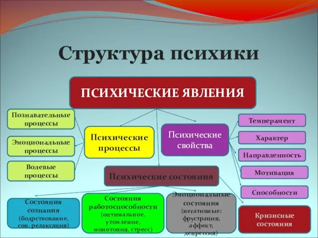 Структура психики ПСИХИЧЕСКИЕ ЯВЛЕНИЯ Психические состояния Психические свойства Психические процессы Познавательные