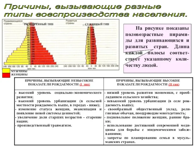 Причины, вызывающие разные типы вовспроизводства населения. На рисунке показаны половозрастные пирами-ды