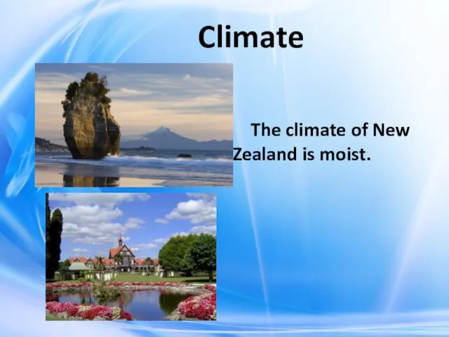 Climate The climate of New Zealand is moist.