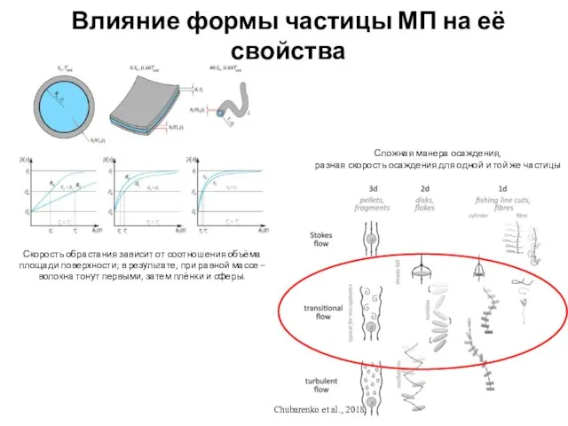 Скорость обрастания зависит от соотношения объёма площади поверхности; в результате, при