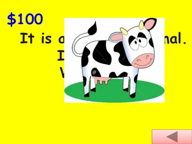 $100 It is a domestic animal. It gives milk. What’s this?