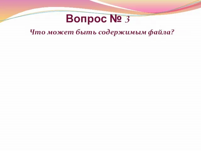 Вопрос № 3 Что может быть содержимым файла?