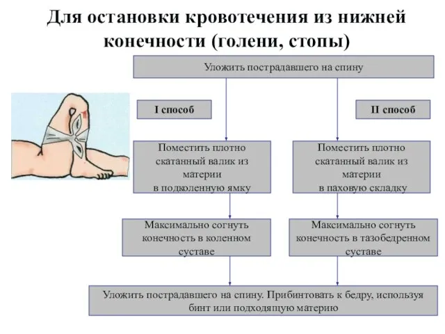 Для остановки кровотечения из нижней конечности (голени, стопы) Уложить пострадавшего на