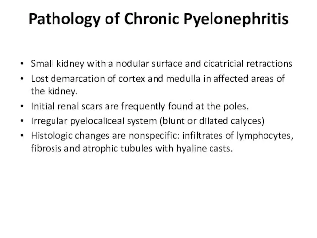Pathology of Chronic Pyelonephritis Small kidney with a nodular surface and