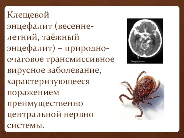 Клещевой энцефалит (весенне-летний, таёжный энцефалит) – природно-очаговое трансмиссивное вирусное заболевание, характеризующееся поражением преимущественно центральной нервно системы.