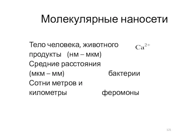 Молекулярные наносети Тело человека, животного продукты (нм – мкм) Средние расстояния