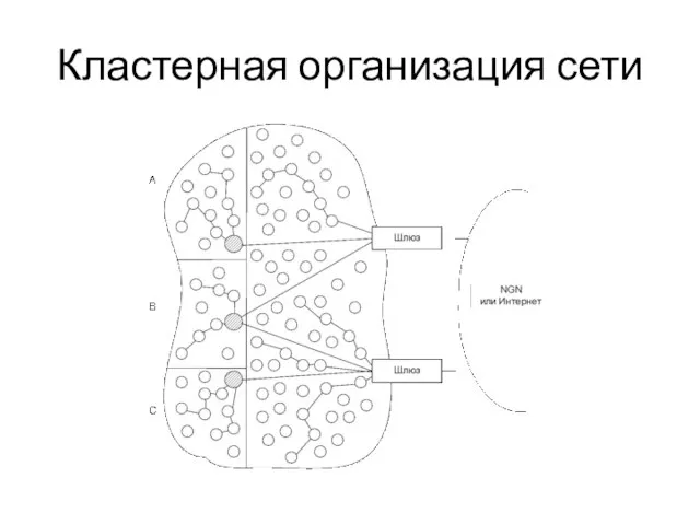 Кластерная организация сети