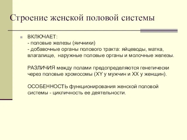 Строение женской половой системы ВКЛЮЧАЕТ: - половые железы (яичники) - добавочные