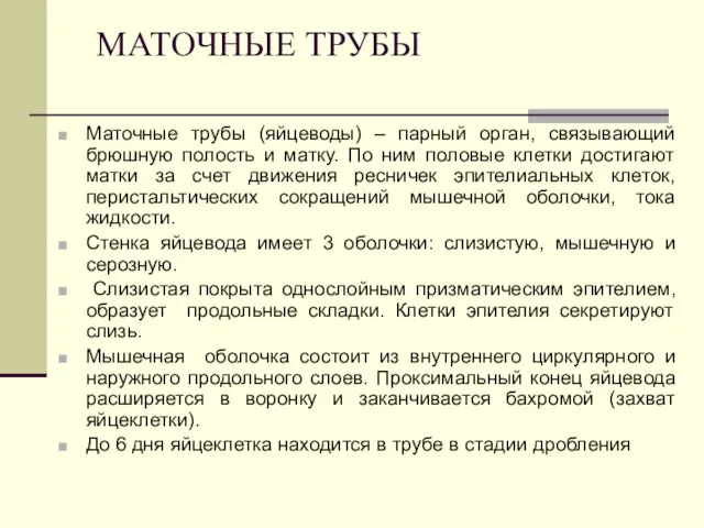 МАТОЧНЫЕ ТРУБЫ Маточные трубы (яйцеводы) – парный орган, связывающий брюшную полость