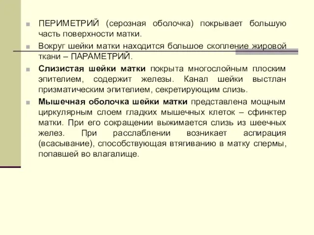 ПЕРИМЕТРИЙ (серозная оболочка) покрывает большую часть поверхности матки. Вокруг шейки матки