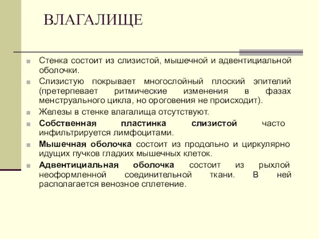 ВЛАГАЛИЩЕ Стенка состоит из слизистой, мышечной и адвентициальной оболочки. Слизистую покрывает