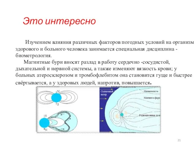 Изучением влияния различных факторов погодных условий на организм здорового и больного