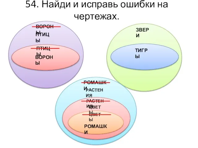 54. Найди и исправь ошибки на чертежах. ПТИЦЫ ВОРОНЫ ЗВЕРИ ТИГРЫ