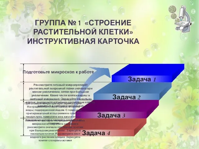 Поместите препарат на предметный столик микроскопа, закрепите зажимом и рассмотрите сначала