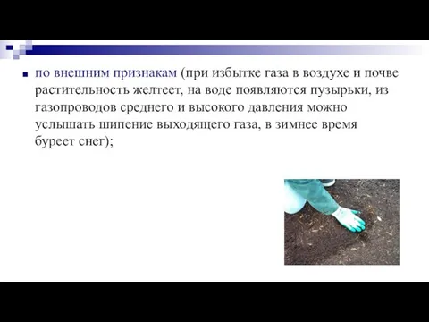 по внешним признакам (при избытке газа в воздухе и почве растительность