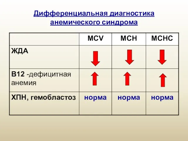 Дифференциальная диагностика анемического синдрома