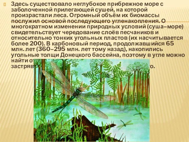 Здесь существовало неглубокое прибрежное море с заболоченной прилегающей сушей, на которой