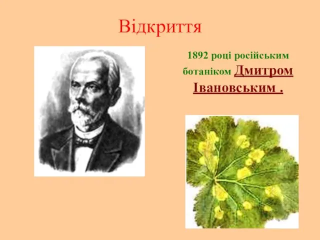 Відкриття 1892 році російським ботаніком Дмитром Івановським .