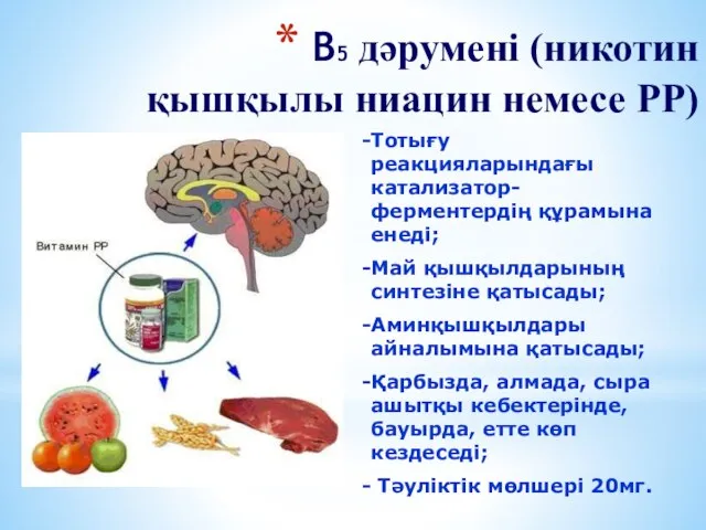 В5 дәрумені (никотин қышқылы ниацин немесе РР) Тотығу реакцияларындағы катализатор-ферментердің құрамына