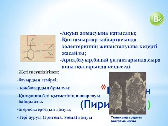 Витамин (Пиридоксин) Ақуыз алмасуына қатысады; Қантамырлар қабырғасында холестериннің жинақталуына кедергі жасайды;