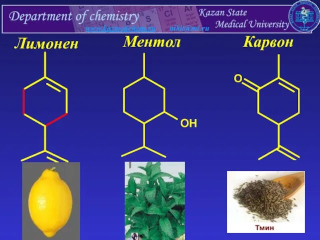 www.kazmedchem.ru nikit@mi.ru Лимонен Ментол Карвон