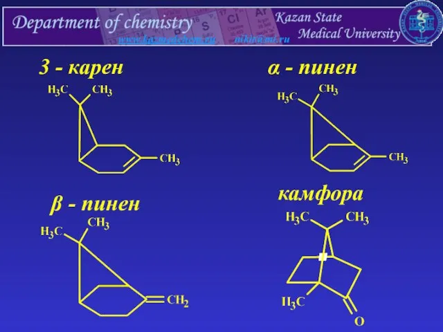 www.kazmedchem.ru nikit@mi.ru 3 - карен α - пинен β - пинен камфора