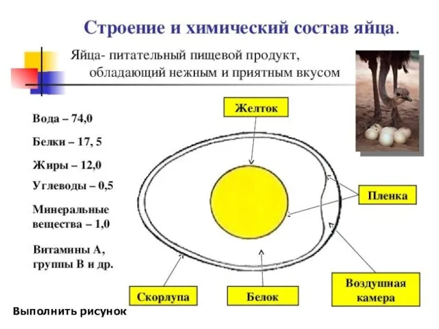 Выполнить рисунок