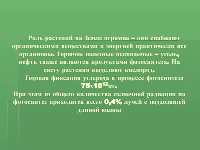 Роль растений на Земле огромна – они снабжают органическими веществами и