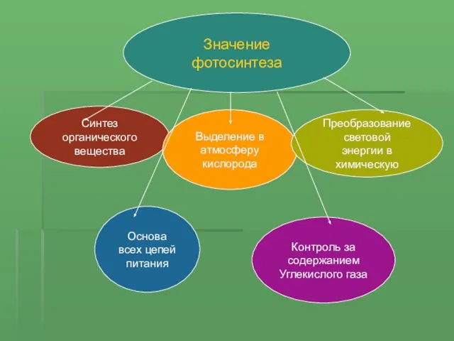 Значение фотосинтеза Синтез органического вещества Выделение в атмосферу кислорода Преобразование световой