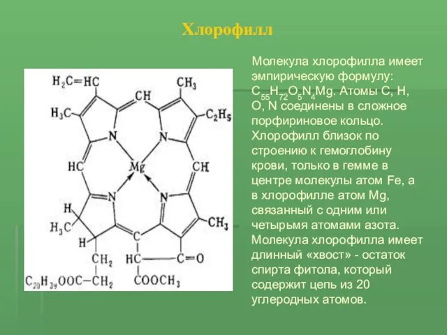 Хлорофилл Молекула хлорофилла имеет эмпирическую формулу: С55Н72О5N4Мg. Атомы С, Н, О,